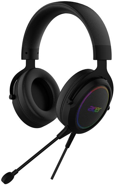 Наушники с микрофоном Acer AHW120 черный мониторные оголовье (ZL.HDSCC.01C) фото 2