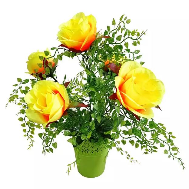 Цветы в горшке 5 роз с густой зеленью фото 1