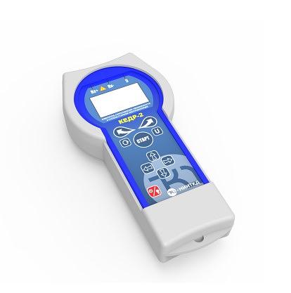 Измеритель сопротивления, увлажненности и степени старения электроизоляции «КЕДР-2» фото 1