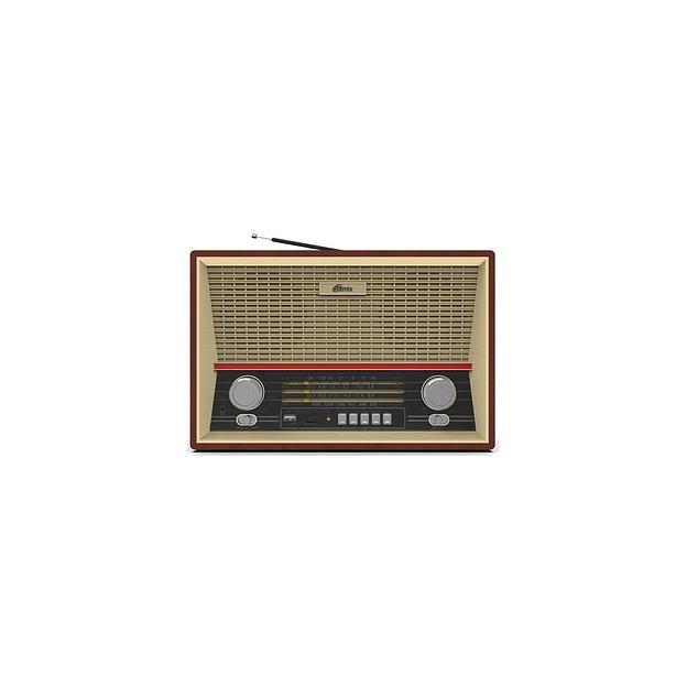 Радиоприемник Ritmix RPR-102, дерево коричневое фото 1