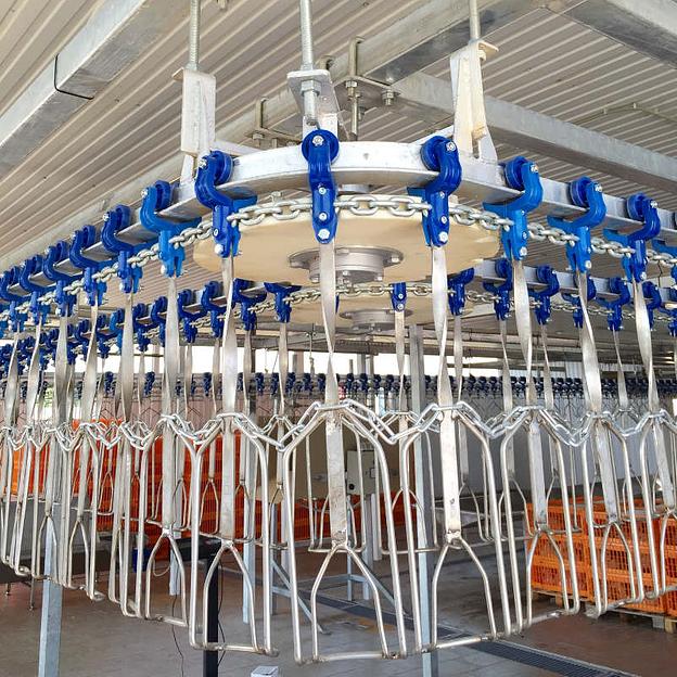 Подвесной конвейер убоя/потрошения птицы ВИ-1020 фото 1