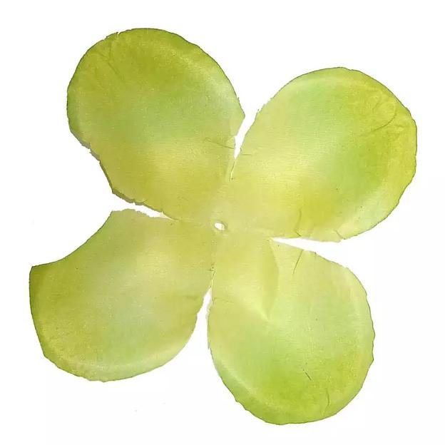 Заг-ка для розы YZ-2 зелёной 4-кон. круглый 10,5-12см 1490шт/кг фото 1