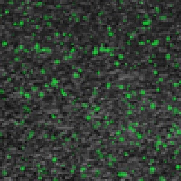 Резиновое покрытие Rubblex Sport Puzzle 1000x1000 MIX - каучуковая крошка, Цвет Зеленый и черный, Толщина модуля 15 мм. фото 1