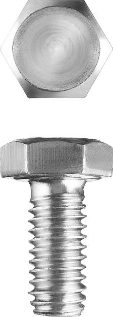 ЗУБР ГОСТ 7798-70, кл. пр. 5.8, M5 х 10 мм, цинк, 5 кг, болт (303080-05-010) фото 1