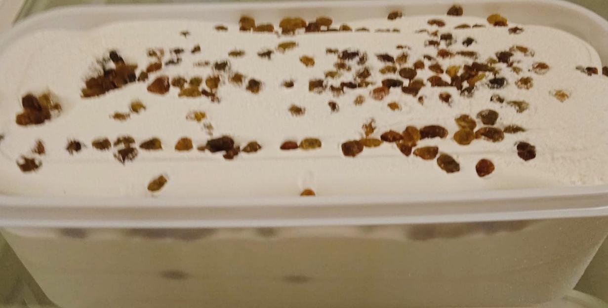 Мороженое «Ромовый изюм» 2,5 кг ОПТ фото 1