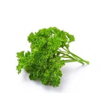 Свежая зелень «Петрушка душистая», опт фото 1