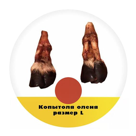 Лакомство для собак «Копыто оленя L», опт фото 1