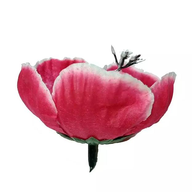 Головка георгина Гедре 1сл 9см 436-257-188 1/28 фото 1