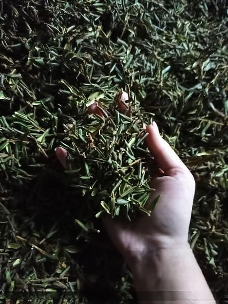 Саган дайля ОПТ фото 1