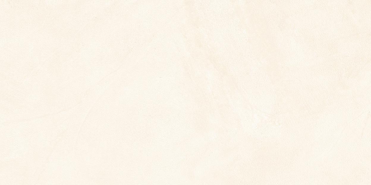 Керамогранит Alma Ceramica Stockholm GFA114STM04R сатинированный 570x1140 фото 1