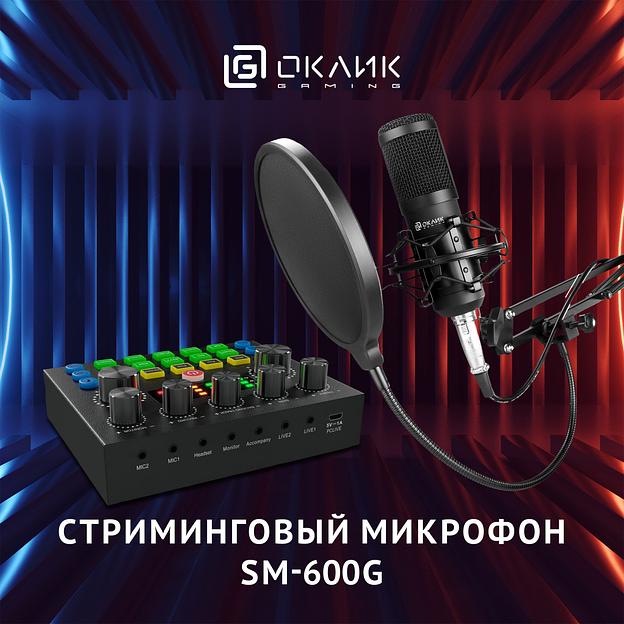 Микрофон проводной Оклик SM-600G 2.5м черный фото 2