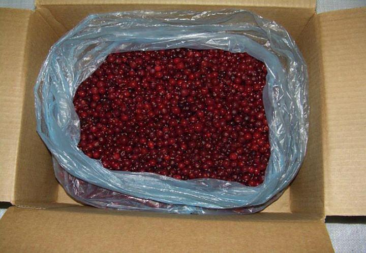 Пакеты-вкладыши фото 1