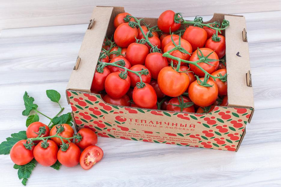 Томат свежий, Самара, опт фото 1