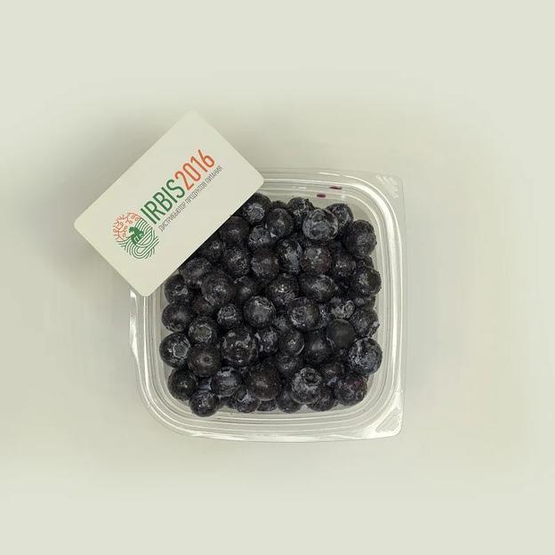 Черника замороженная ОПТ фото 1