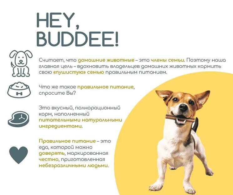 Сухой полнорационный корм для взрослых собак средних пород, с говядиной и рисом, 2 кг фото 9