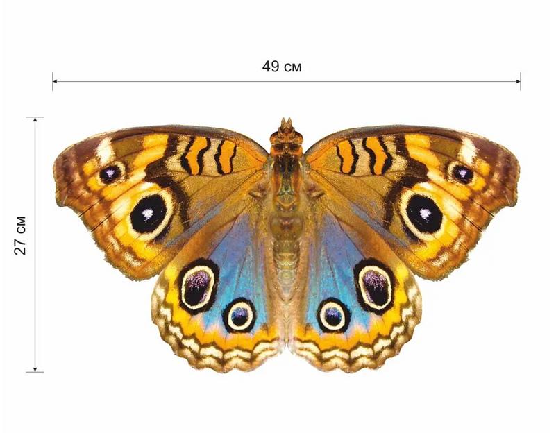 Деревянные пазлы «Юнония» L 49×27 см 274 детали фото 7