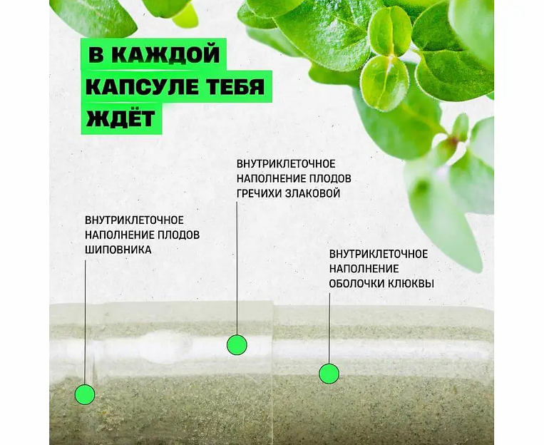 Комплексная добавка «Svitolife Immunity» 90 капс фото 5