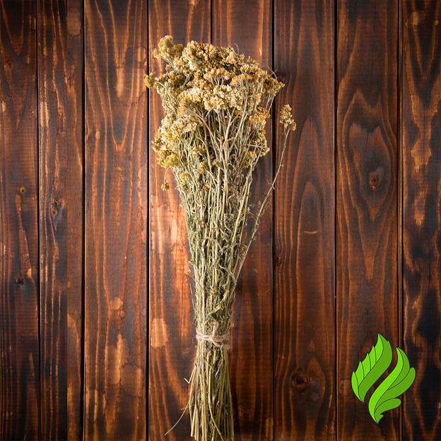 Сбор трав «Тысячелистник» для бани опт фото 1