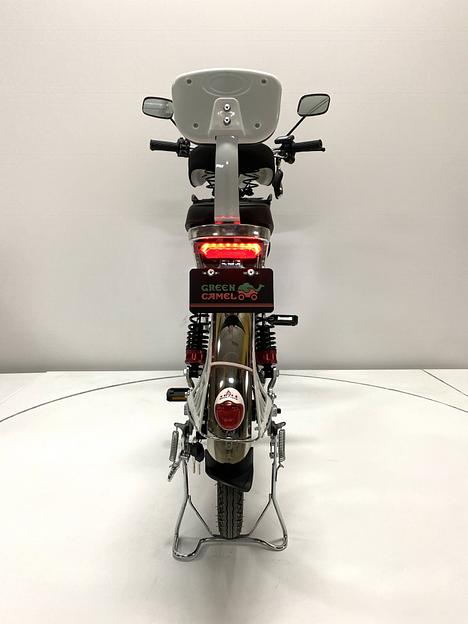 Электровелосипед GreenCamel Транк 20 V8 PRO (R20 250W 60V20Ah) алюм, 2х подвес, DD, 123836 фото 6