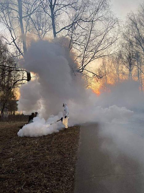 Услуга по гербицидной обработке борщевика и сорняков в Твери и Тверской области фото 7