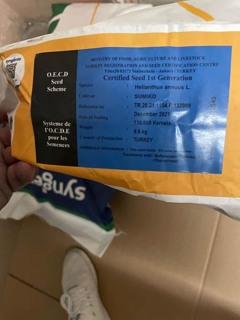 Гибрид семян подсолнечника «СУМИКО» фото 5