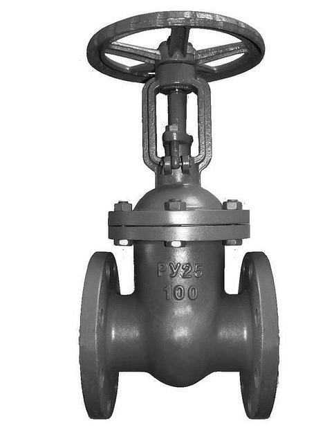 Задвижка 30с64нж Ру25 Ду80 фото 1