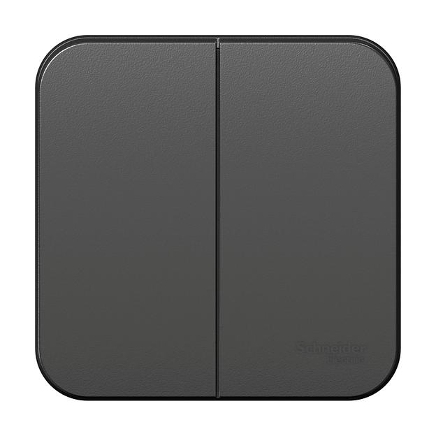 Systeme electric BLNVA105016 BLANCA О/У 2-клавишный ВЫКЛЮЧАТЕЛЬ ( c х.5) ИЗОЛ.ПЛ., 10А, 250B, АНТРАЦИТ фото 3