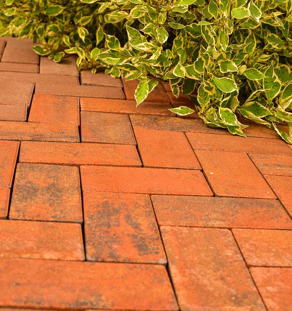 Тротуарная плитка «Краски мира» DM.CW.060.XXX фото 3