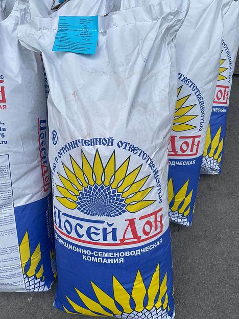 Гибрид семян подсолнечника «ПОСЕЙДОН» фото 1