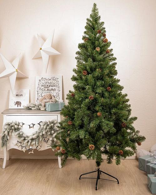 Ель с шишками «Симфония» опт фото 2