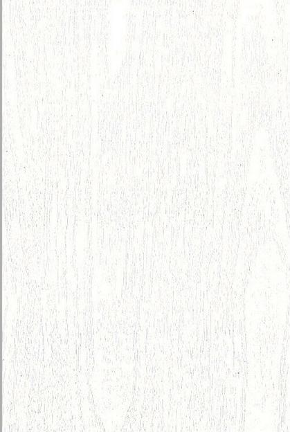 Панель ПВХ SWX73 фото 2