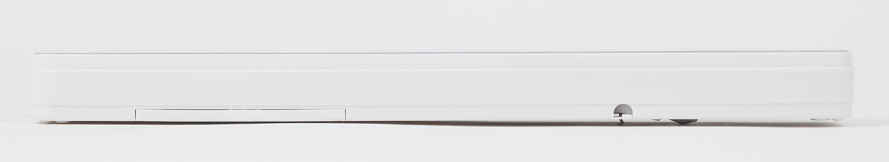 Светильник светодиодный аварийный постоянный DBA-106-0-20 60LED 6ч IP20 (24/864) ЭРА Б0044399 фото 3