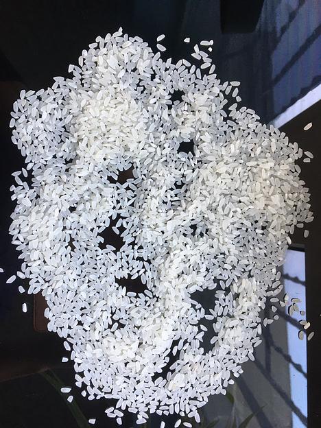 Рис среднезерный первый сорт 25 кг ГОСТ 6292-93, опт фото 1