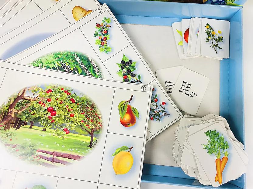 Развивающая игра «Где мы растём» ОПТ фото 5