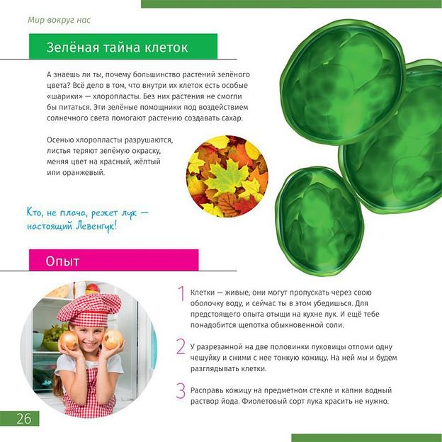 Микроскоп Discovery Pico Terra с книгой > фото 7