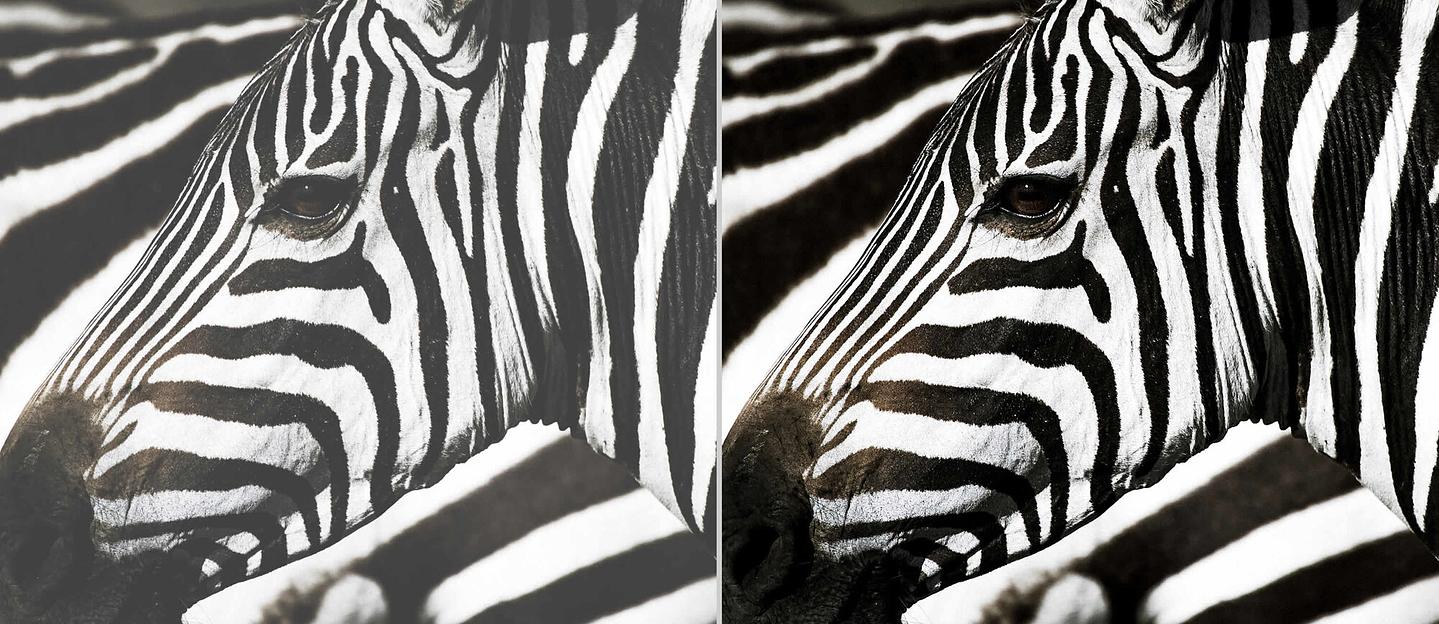 Лазерный проектор Optoma ZK507-W фото 6