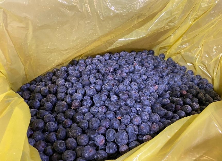 Голубика замороженная опт фото 2