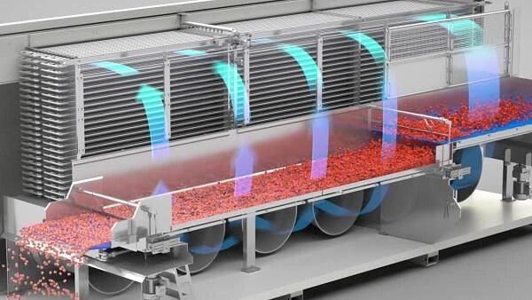 Линия мойки, резки, заморозки и упаковки овощей и фруктов фото 1