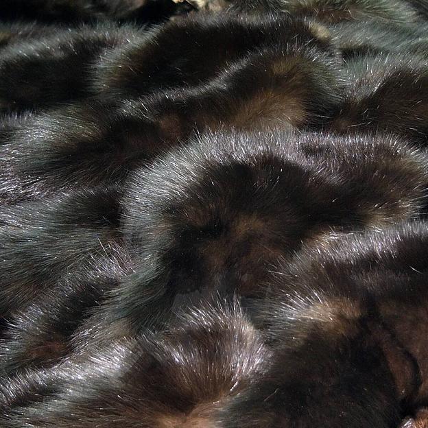Шкурки соболя порода «Салтыковская-1» Глухой, опт фото 1