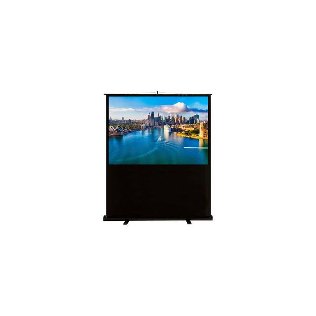 Экран Cactus FloorCompactExpert CS-PSFLCE-160X120, 160х120 см, 4:3, напольный фото 1