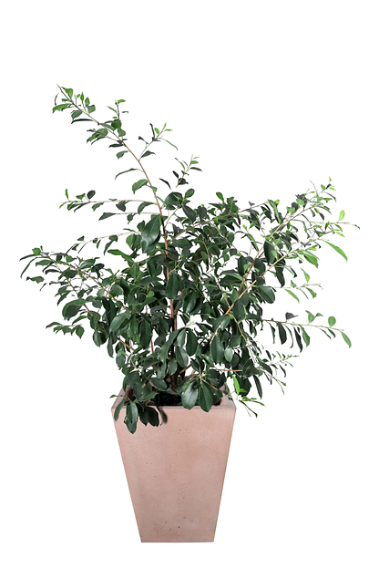 Цветочный вазон СтаркБет «Гардения средняя» 45 л ОПТ фото 5