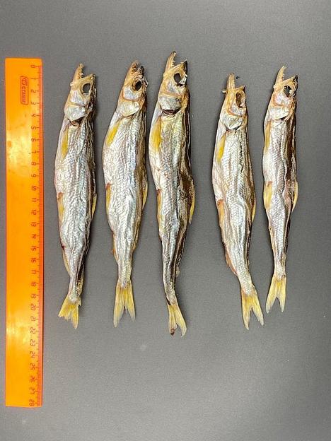 Рыба вяленая Корюшка Profish, опт фото 1