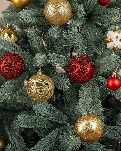 Голубая ель «Новелла» опт фото 3