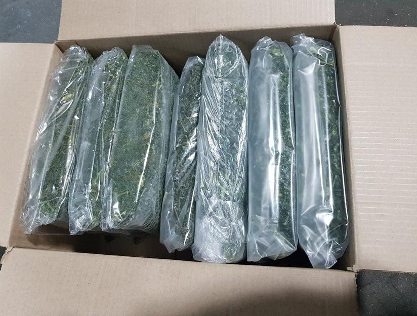 Укроп резанный замороженный Россия опт фото 4