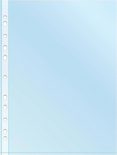 Папка-вкладыш Silwerhof Daily SD-CL ассорти глянцевые A4+ полипропилен 30мкм (упак.:50шт) фото 2