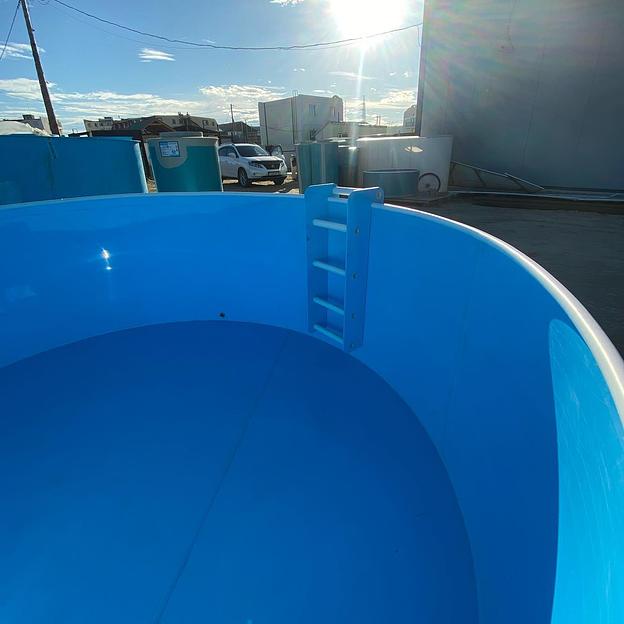 Круглый бассейн фото 8