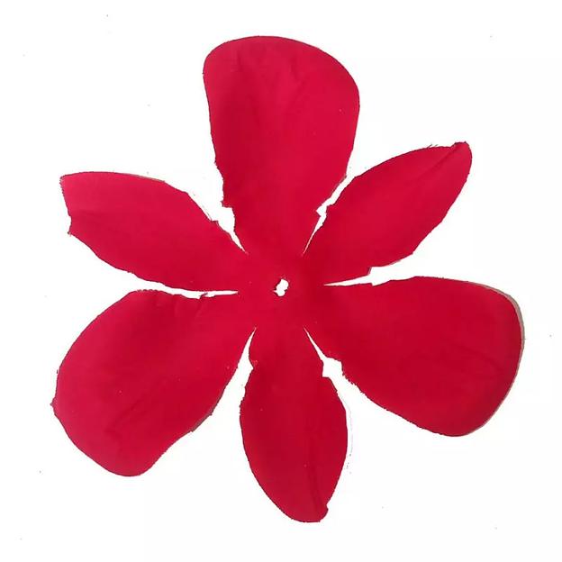 Заг-ка для розы бархатной YZ-76 красной 1-ый слой 6-кон. 12см 848шт/кг фото 2