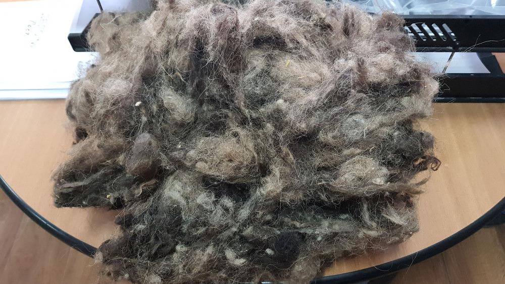 Мытая верблюжья шерсть опт фото 1