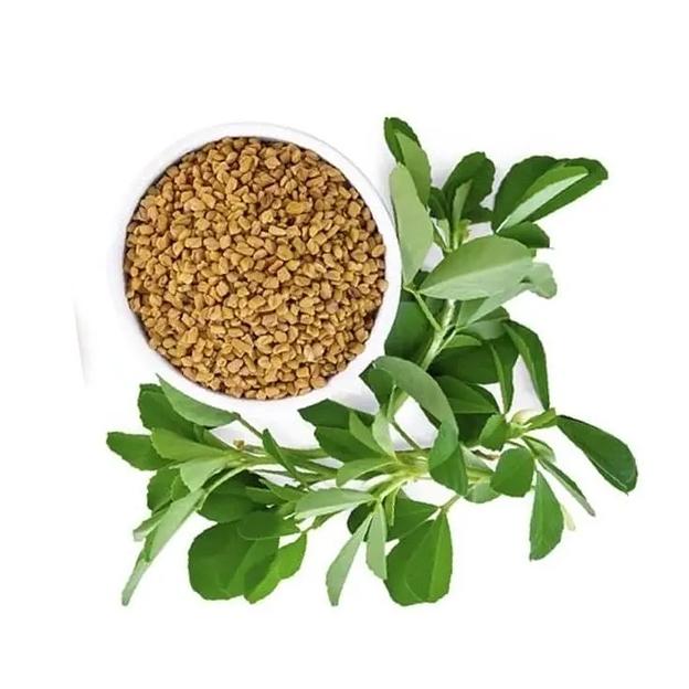 Пажитник целый фото 5