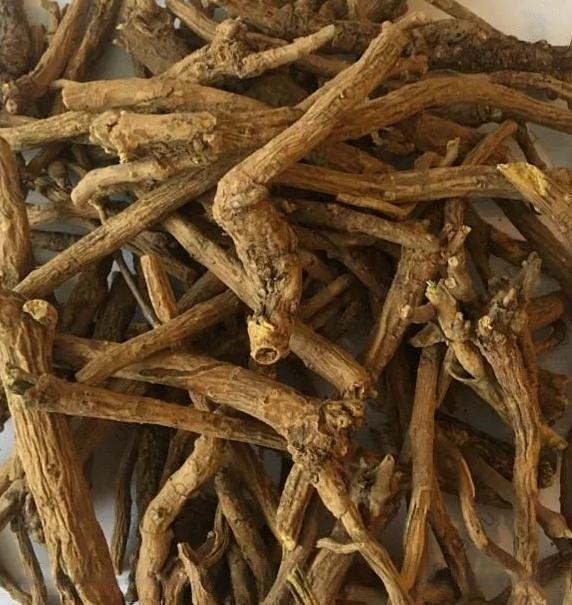 Шлемник байкальский. фото 1